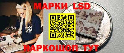 Альфа ПВП Новодвинск