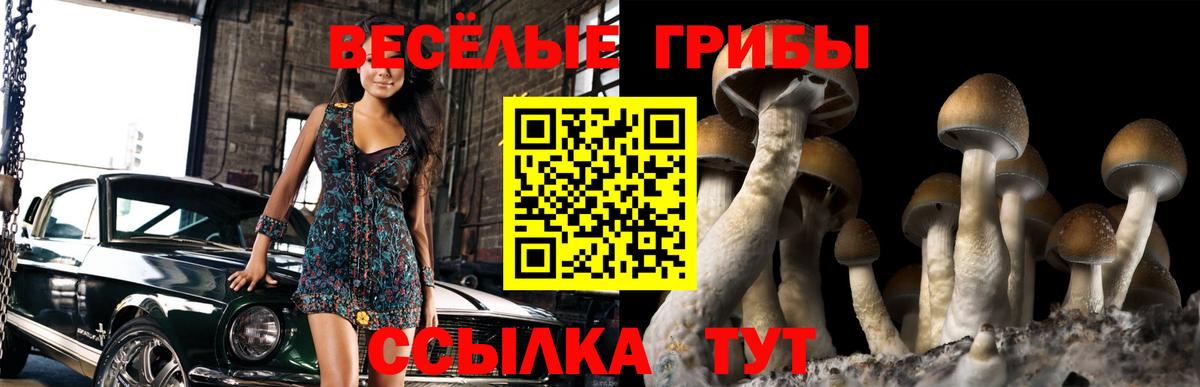 Галлюциногенные грибы Magic Shrooms  Вход с VPN  Татарск 
